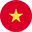 Icon Viet
